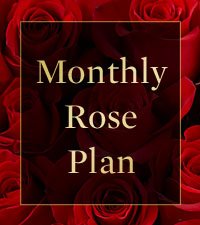 Monthly Rose Gift Plan