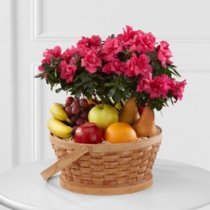 Encircling Grace Fruit & Plant Basket