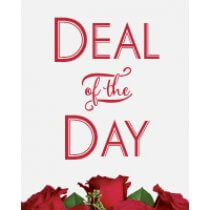 Rose Deal of the Day 