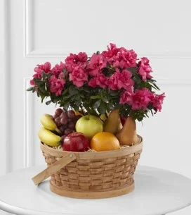 Encircling Grace Fruit & Plant Basket