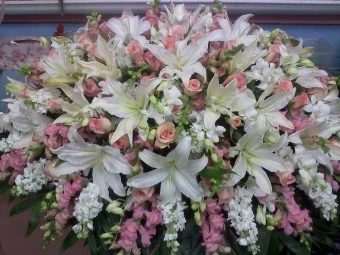 CS-9: Beauty in Pink Casket Spray