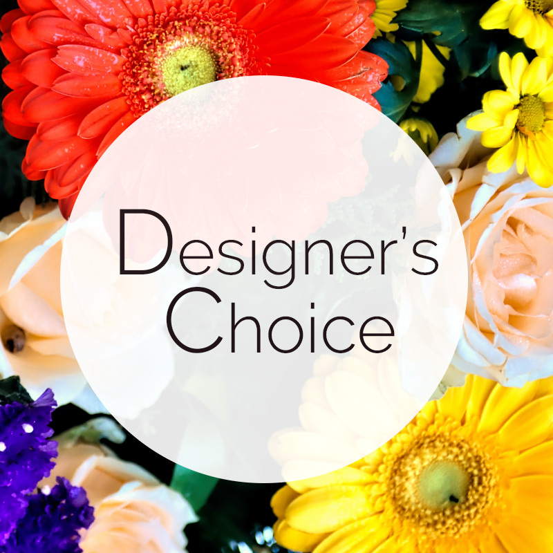 Designers Choice