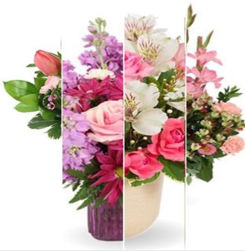 Designer's Choice in Pink