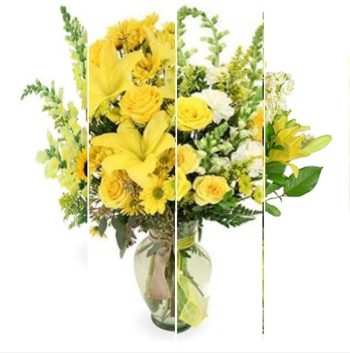 Designer's Choice in Yellow