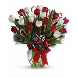 Warm Candy Cane Kisses Bouquet