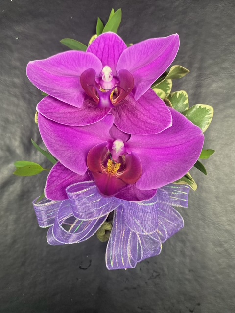 Phalaenopsis Orchid Wrist Corsage