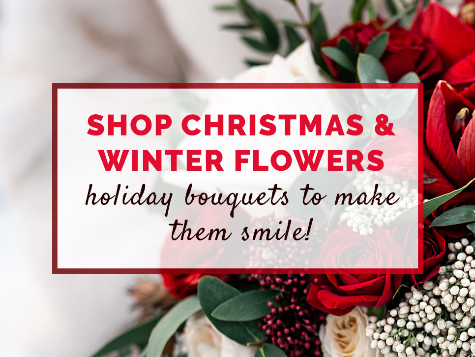 Christmas/Winter Flowers