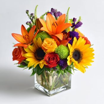 Color Me Cozy Cube Bouquet